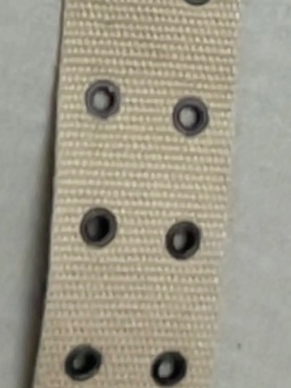 Tan 2 Row Metal Grommet Canvas Belt